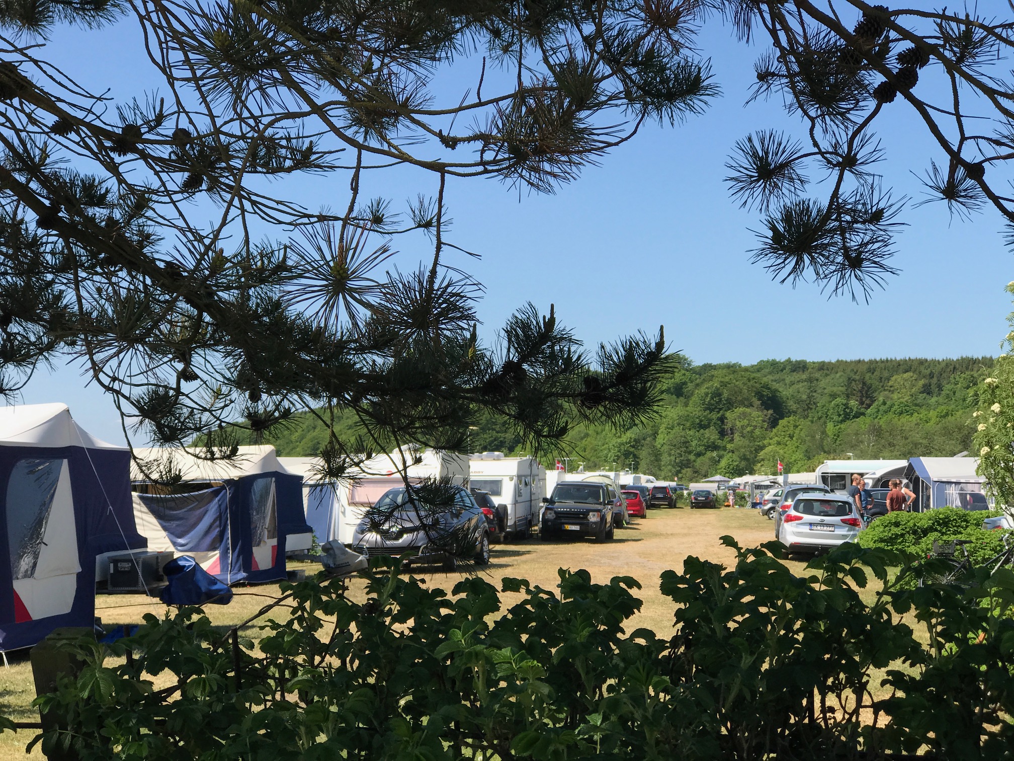 Rosenvold_camping_pladsen_IMG_2312