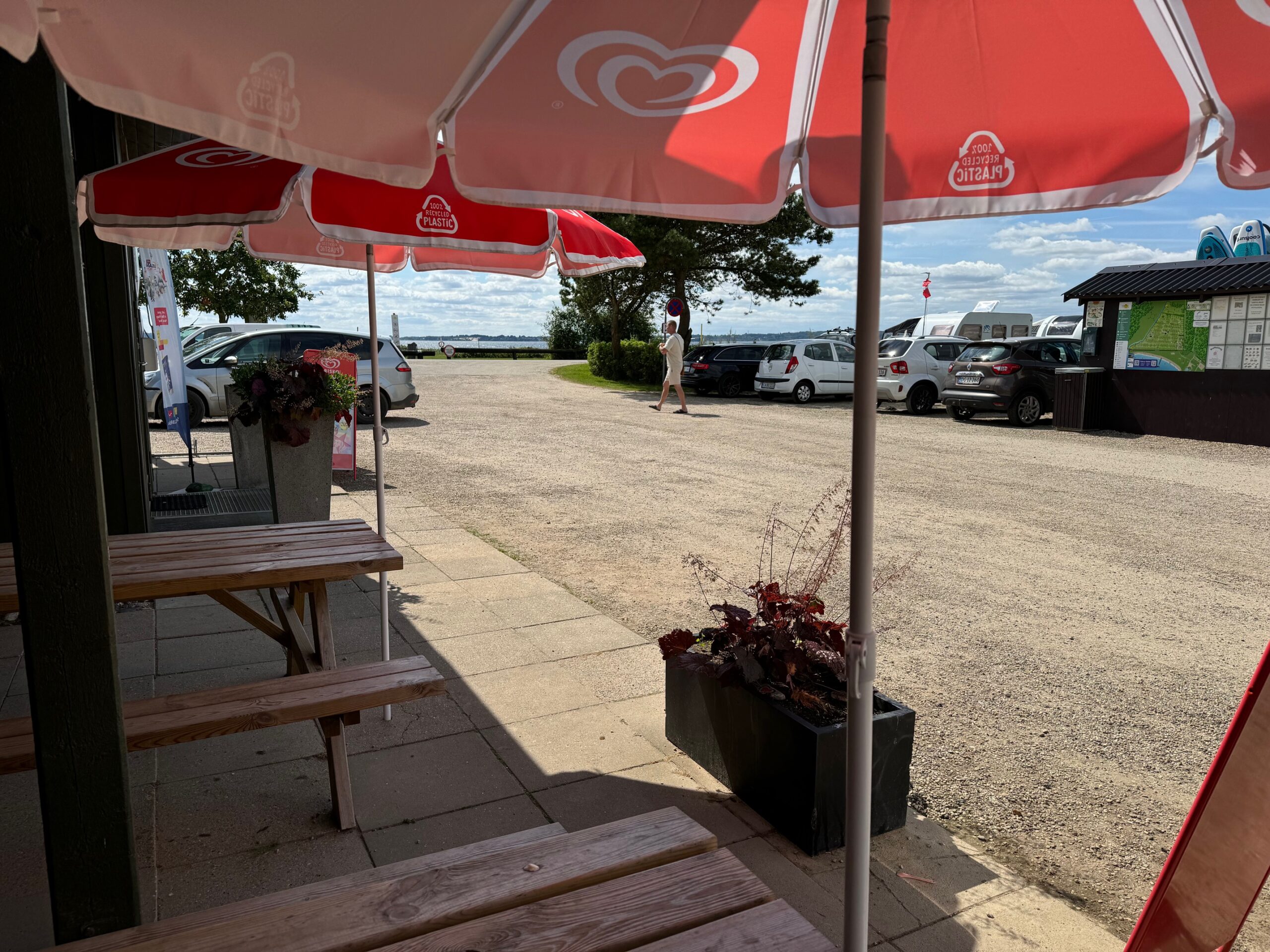 Rosenvold_camping_pladsen_IMG_8389