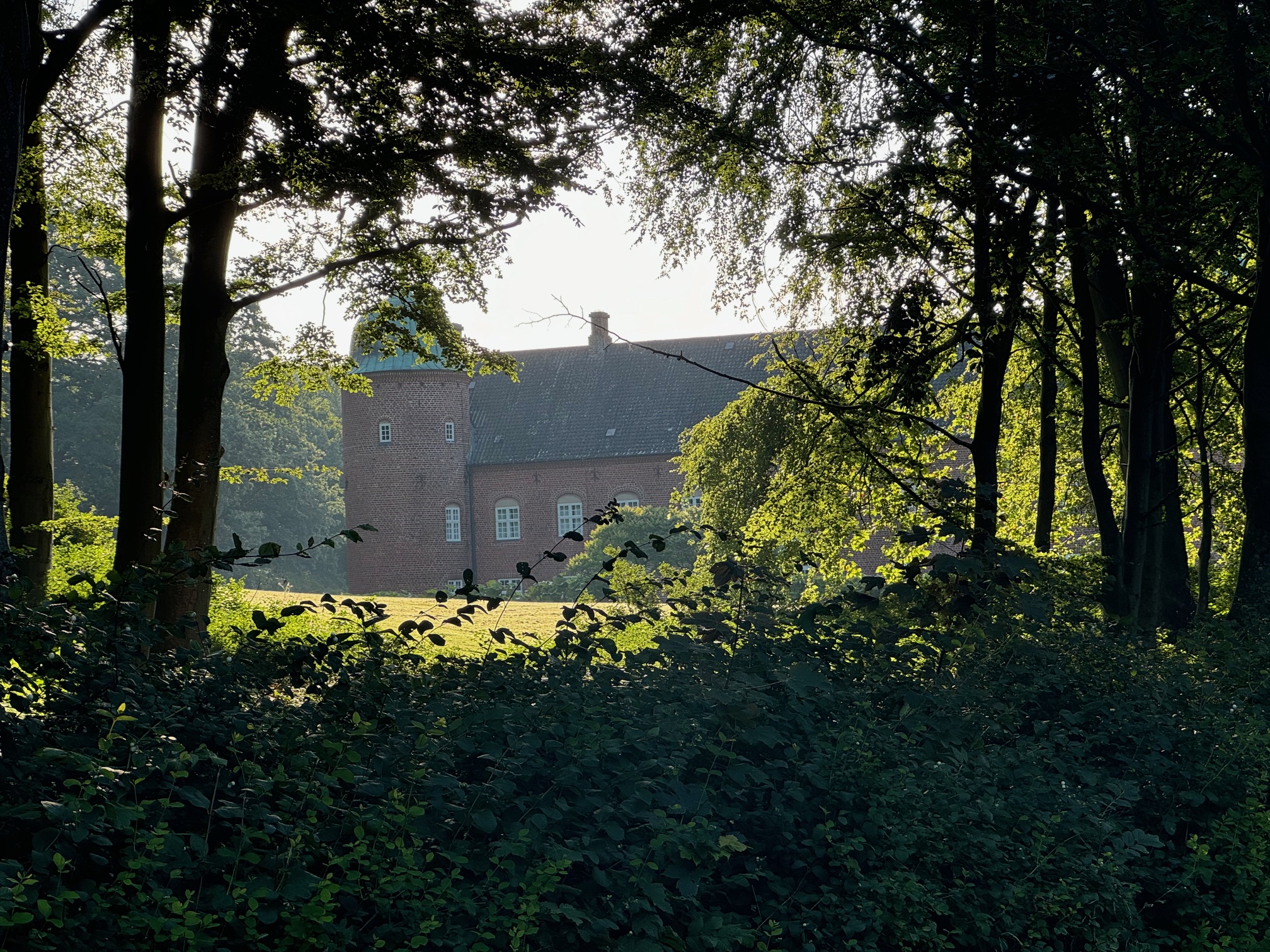 Rosenvold_camping_pladsen_IMG_8439